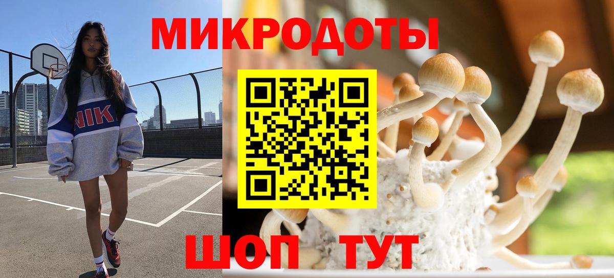 Галлюциногенные грибы Psilocybine cubensis  Вход с VPN  Зеленогорск  Псилоцибиновые грибы мицелий 